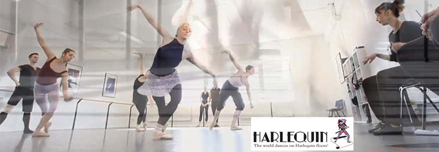 Harlequin ALLEGRO